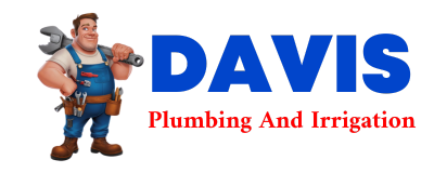 Trusted plumber in BERNARD